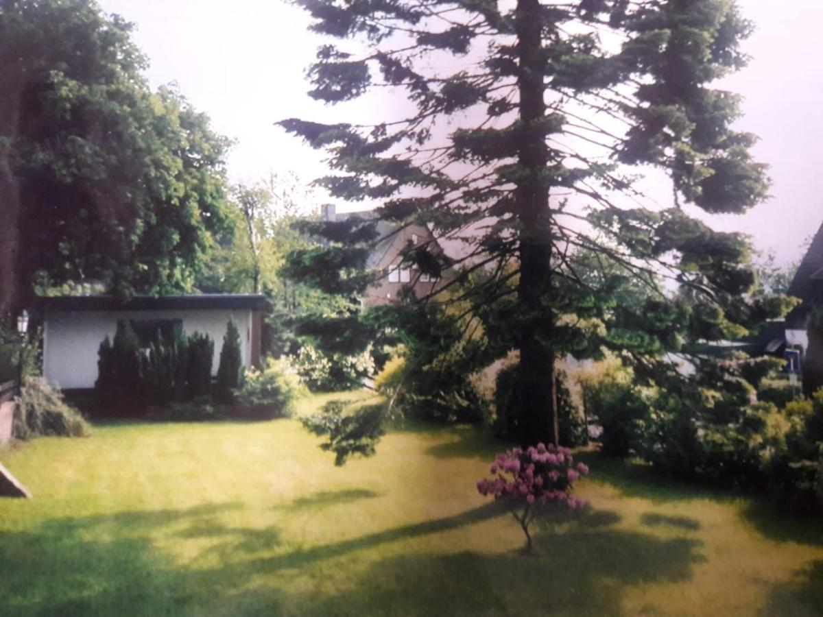 Ferienhaus Astenblick - Ideal Fuer Weihnachtsfeiern Und Familienfeiern Bietet Schlafplaetze Fuer Bis Zu 35 Personen Villa วินเทอร์แบร์ก ภายนอก รูปภาพ